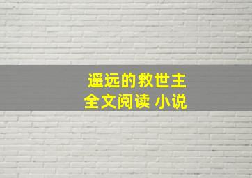 遥远的救世主全文阅读 小说